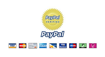 Pay with paypal to traffitise